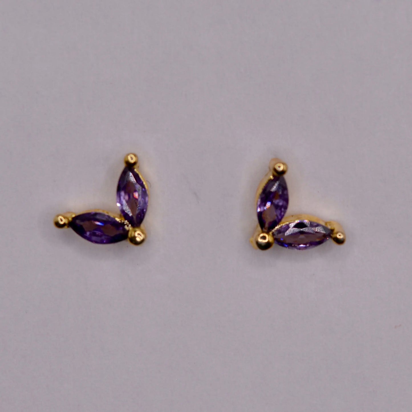 Feuilles Violettes - MAISON MEXIQUE