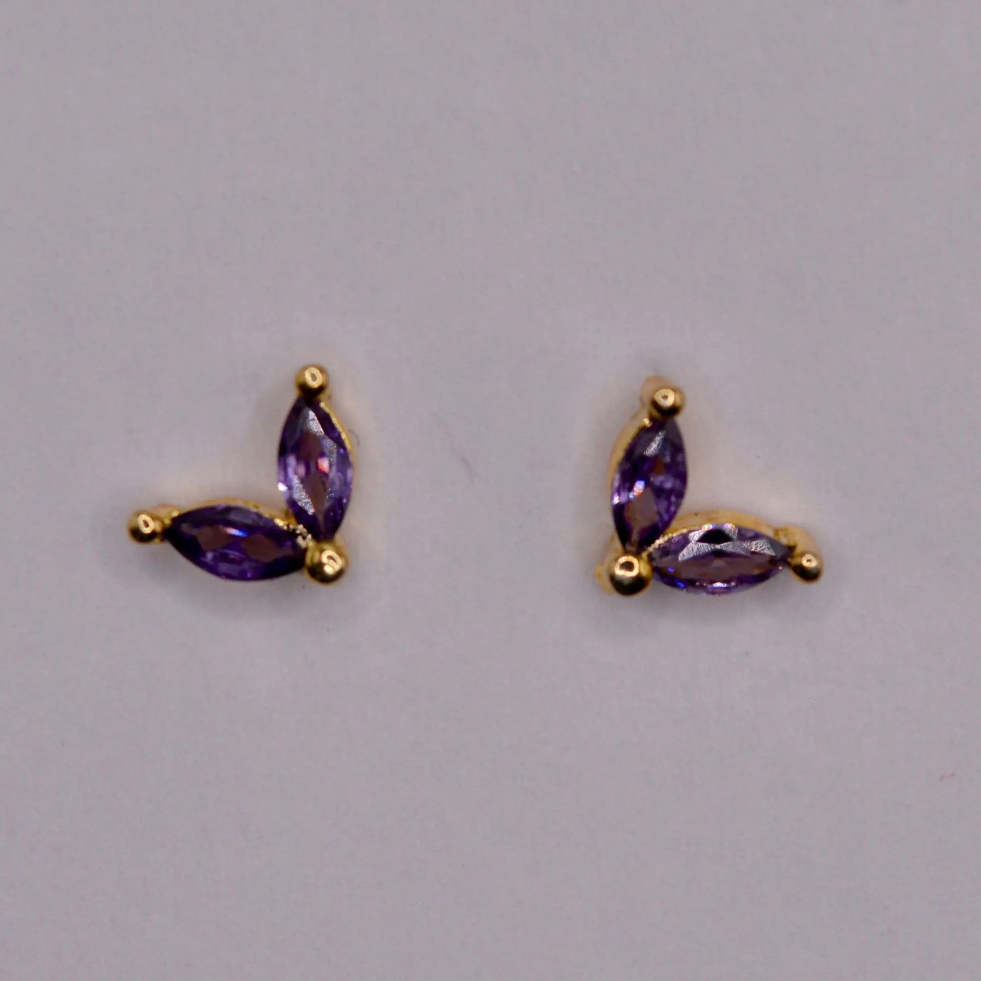 Feuilles Violettes - MAISON MEXIQUE